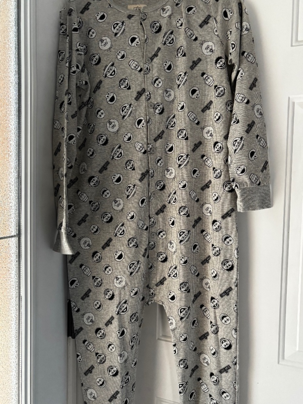 Sesame Street Women's Grey Graphic Print One-Piece Pajamas – Size Small